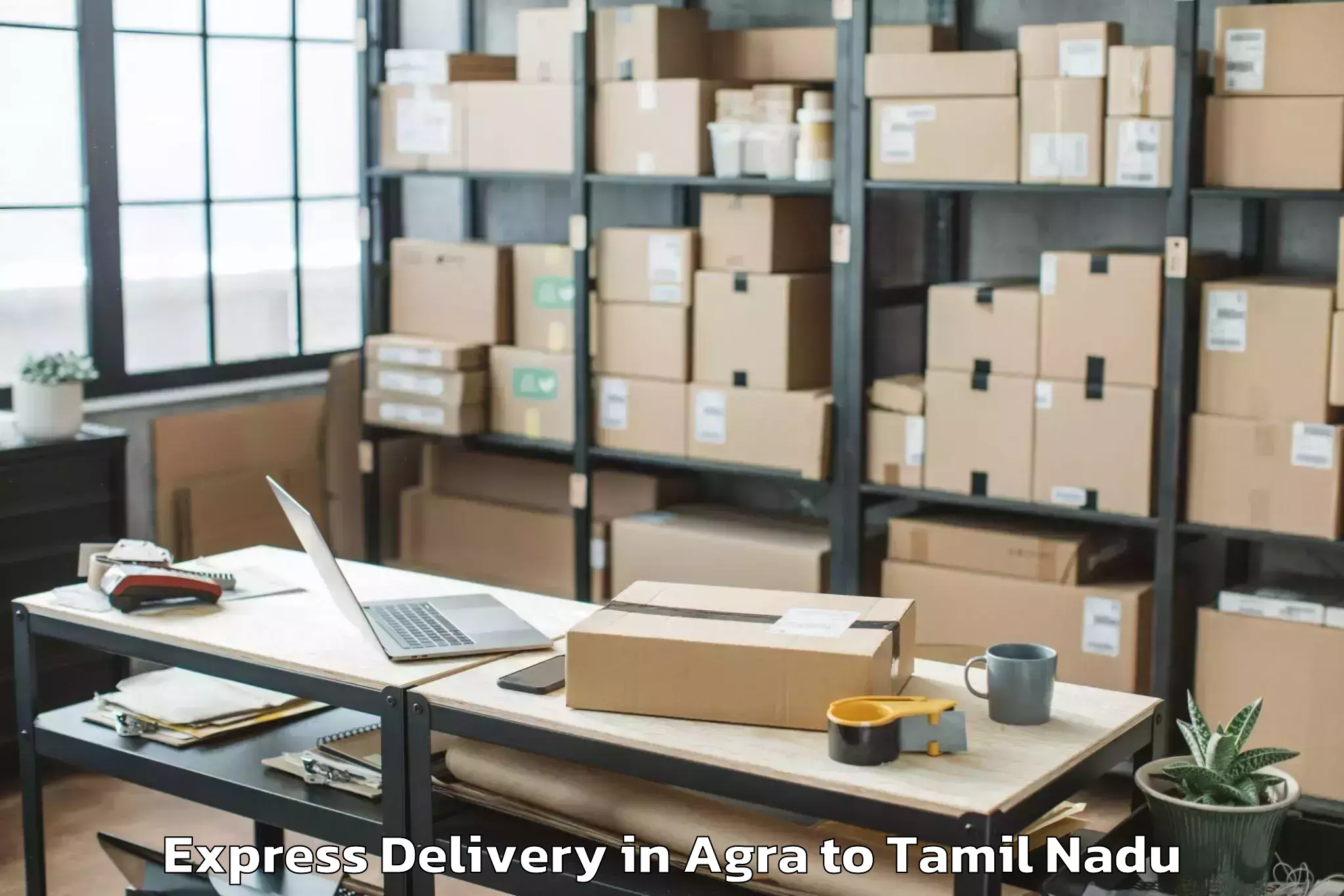 Professional Agra to Chennai Marina Mall Express Delivery